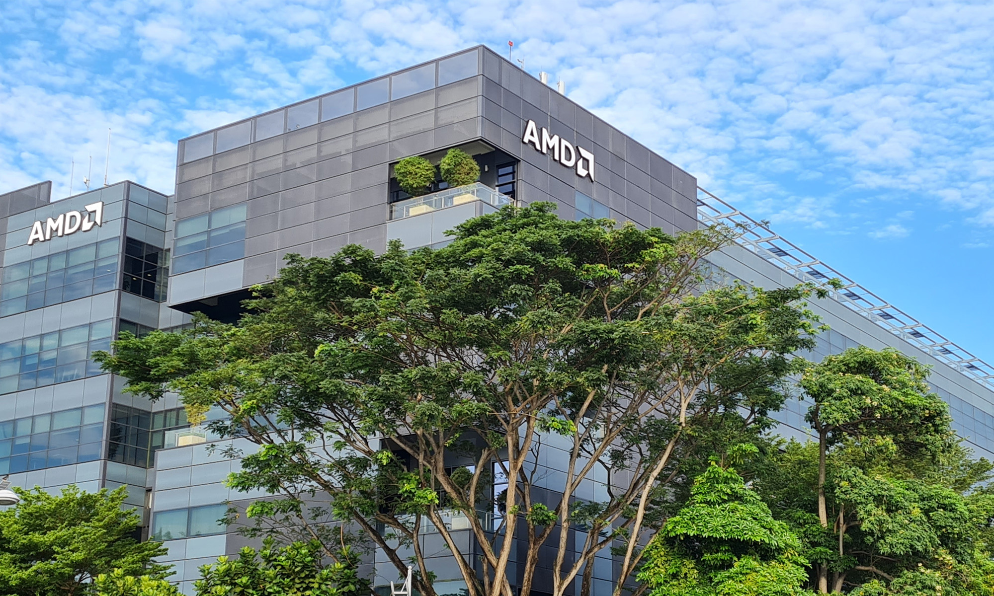 The Unexpected Bull Case for AMD Stock