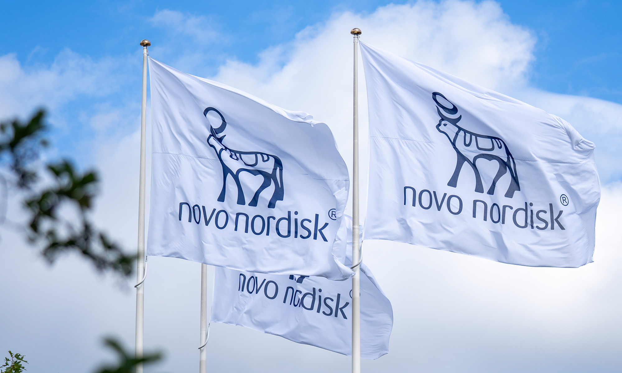 Novo Nordisk Has Downgraded Its Outlook for the Fourth Time This Year. Here's What Investors Need to Know.