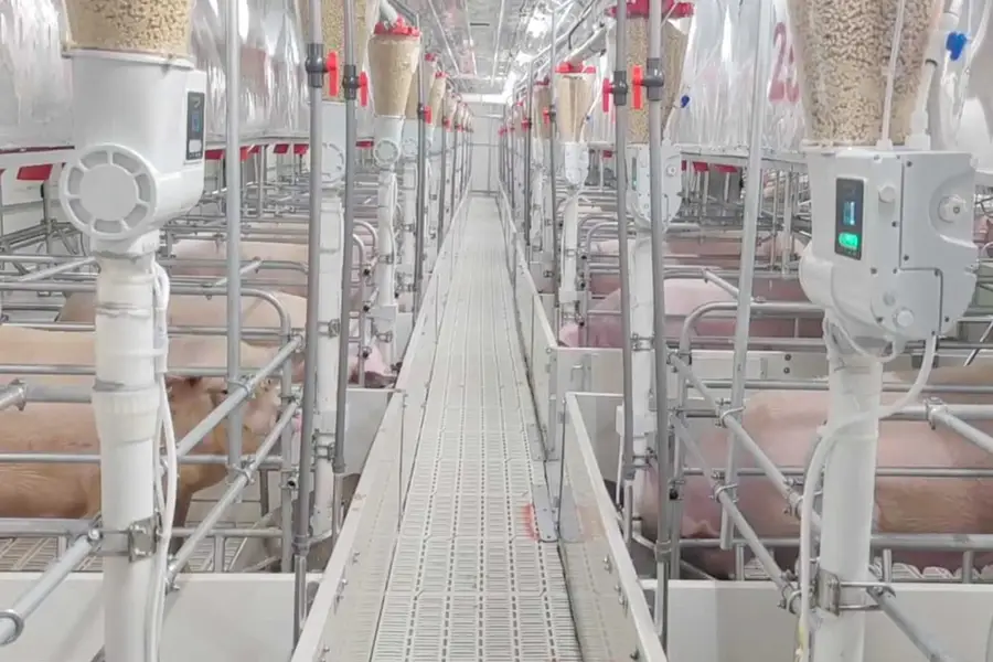 Muyuan Eyes Global Pig Pen With Hong Kong IPO