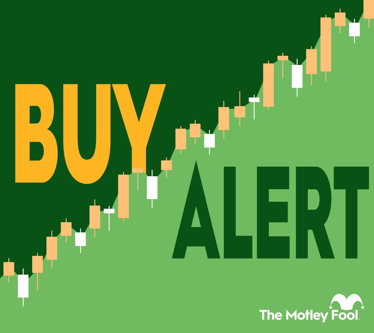 Tower Semiconductor Draws New $109 Million Institutional Stake Amid a 127% Stock Run